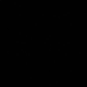 Meet your Posher, Dash